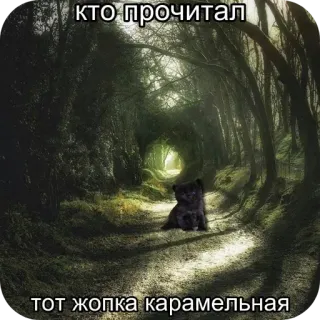 ❤ cc09e71e кто прочитал
тот жопка карамельная hutan, jalan setapak, kucing, humor, lucu telegram sticker
