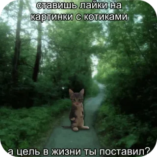 🤨 e8aad06b ставишь лайки на картинки с котиками
а цель в жизни ты поставил? kucing, anak kucing, meme, rusia, lelucon, hutan, jalan setapak telegram sticker