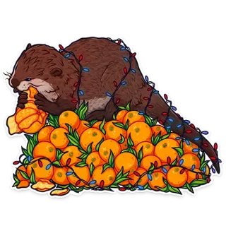 random stickers (@kotypic) telegram stickers