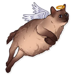 😇 faf7470a 猫, 天使, 翅膀, 光环, 可爱, 宠物, 动物 whatsapp sticker