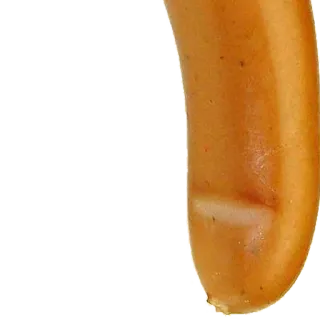 КОЛБАСЫ от @soundsfromthevagina whatsapp stickers