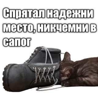 👢 364f7a9e Спрятал надежни место, никчемни в сапог gatto, stivale, divertente, animale telegram sticker