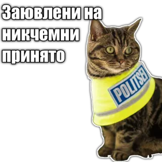 👮 3aeae5b4 Заювлени на никчемни принято gatto, animale, polizia, divertente telegram sticker