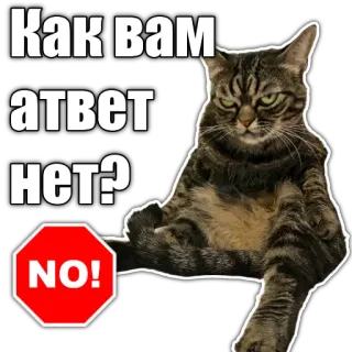 🚫 9a76de85 Как вам ответ нет? gatto, no, segnale di stop, arrabbiato, meme, divertente telegram sticker