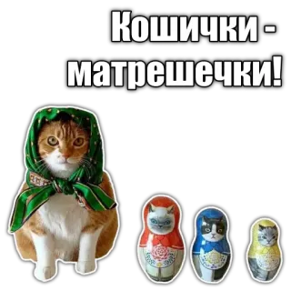😨 9b1c555f Кошички - матрёшечки! gatto, matriosca, bambola, bambola russa, russo, sciarpa telegram sticker