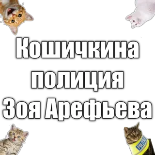 📝 d85b602a Кошичкина
полиция
Зоя Арефьева gatto, polizia, Zoia Arefeva telegram sticker