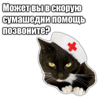 🧑‍⚕ e1602eae Может вы в скорую сумашедни помощь позвоните? gatto, infermiera, umorismo telegram sticker