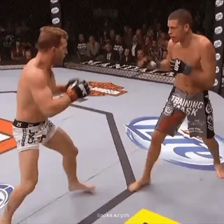 👊 3a46c4fd fight, boxing, sport, UFC, martial arts telegram sticker