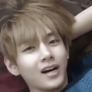 ✨ 3175d9bd telegram sticker