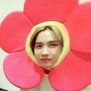 🌺 82c04f60 bunga, orang, potret, pemuda, foto kepala telegram sticker