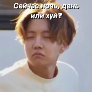 🛏 ff40dd59 Сейчас ночь, день или хуй? Meme, Rusia, J-Hope, Kpop, Ofensif telegram sticker