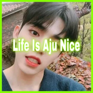 👍 a62e4381 Life Is Aju Nice kpop, aju nice, życie, seventeen, słodkie telegram sticker