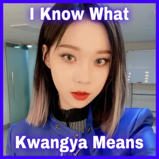 🤷 ae7c1141 I Know What Kwangya Means kwangya, aespa, wiedza, znaczenie, kpop telegram sticker