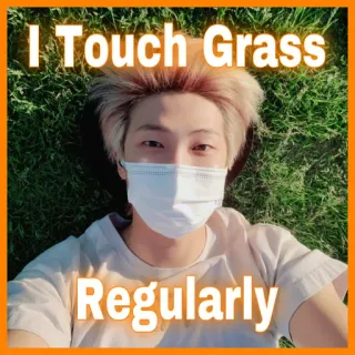 🌱 c0d57560 I Touch Grass Regularly dotknij trawy, mem, natura, rm, kpop, bts, trawa telegram sticker
