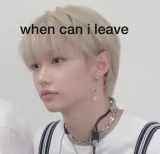 🤨 9312fba2 Felix when can i leave Meme, K-Pop, Stray Kids, Ídolo telegram sticker