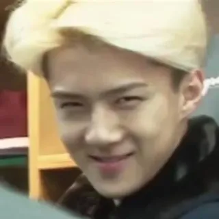 😏 17088e63 orang, senyum sinis, potret, wajah, ekspresi telegram sticker