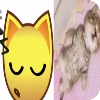 🙂 3157e9b3 고양이, 자는, 귀여운, 애완 동물, 새끼 고양이, 동물 telegram sticker