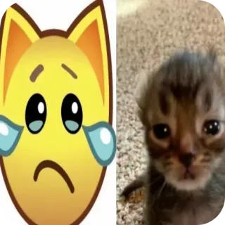 🐱 65b06ab1 고양이, 새끼 고양이, 이모티콘, 슬픈, 우는, 동물, 애완 동물 telegram sticker