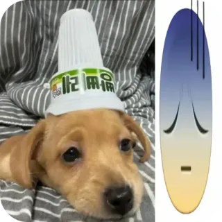 🐶 7be79cd3 매운 개, 귀여운, 강아지, 컵, 동물, 웃긴 telegram sticker