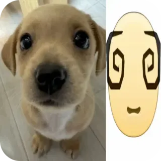 Больше стиков тут: @stikery4 telegram stickers