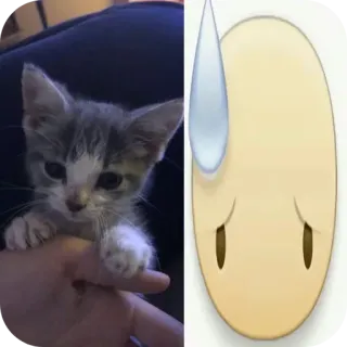 🐱 91e9e03b 아기 고양이, 고양이, 이모지, 땀, 걱정, 귀여운 telegram sticker