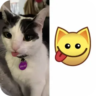 🐱 effe10e9 SALAD 고양이, 동물, 스티커, 이모티콘, 애완동물, 혀, 목걸이, 샐러드 telegram sticker