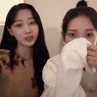 🍩 0810a8cd telegram sticker