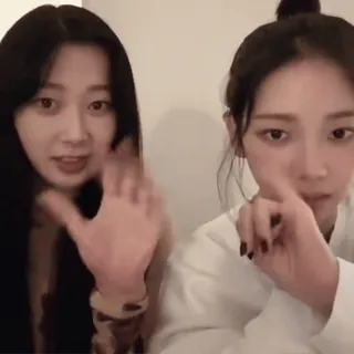 🍩 1542141b 女性, 自撮り, 友達, ポーズ, 室内, ソーシャル telegram sticker