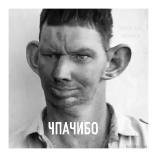 😌 3c77db24 ЧПАЧИБО pria, rusia, lucu, telinga, wajah whatsapp sticker