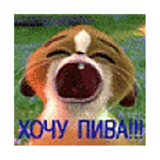 😭 83ee456b ХОЧУ ПИВА!!! anjing, bir, rusia, lucu, kartun whatsapp sticker