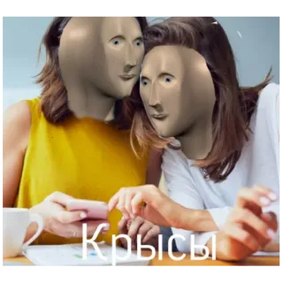 🐀 a3c33a25 Крысы Meme, Stonks, Lucu, Rusia, Tikus whatsapp sticker