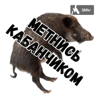 Кресты telegram stickers