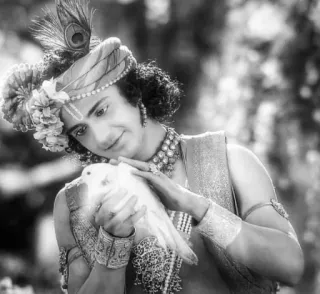 🕊 006951cb Krishna Krishna, Hinduismus, Indische Kultur, Göttlich, Spirituell, Religiöse Figur, Gottheit, Frieden, Taube telegram sticker