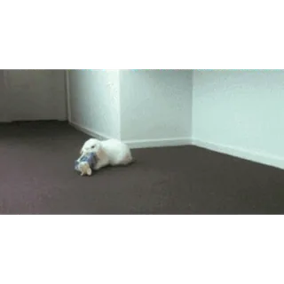 Кролики/Bunny @freetopsticker telegram stickers