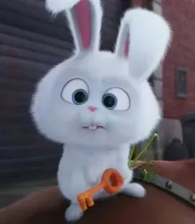 😧 c84928ba Snowball The Secret Life of Pets กระต่าย, กระต่าย, ภาพเคลื่อนไหว, น่ารัก, สัตว์, สัตว์เลี้ยง whatsapp sticker