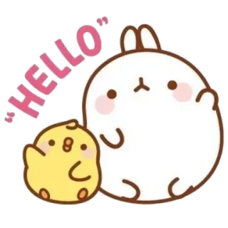 ☁️ 40e31c8b HELLO cute, animals, cartoon, rabbit, chick, hello, greeting, kawaii telegram sticker