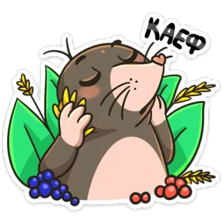 😯 09deaf89 КАЕФ 鼹鼠, 可爱, 动物, 卡哇伊, 卡通, 俄语, Kaef, 快乐 telegram sticker