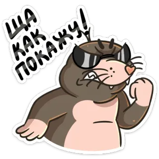 👊 396d8ffe ЩА КАК ПОКАЖУ! 鼹鼠, 卡通, 太阳镜, 搞笑, 俄语, 文本 telegram sticker