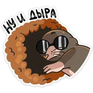 😕 86be6eb8 НУ ДЫРА 鼹鼠, 动物, 卡通, 太阳镜 telegram sticker