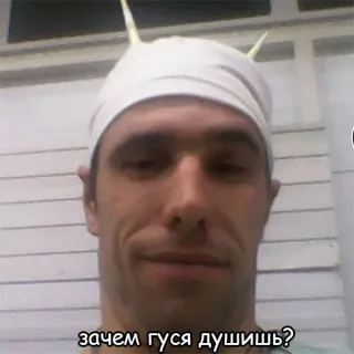 🥰 ac9f84e3 зачем гуся душишь? telegram sticker