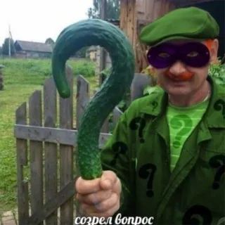 ❓ 008465ca созрел вопрос pepino, ponto de interrogação, enigma, verde, mascarada, piada, engraçado telegram sticker