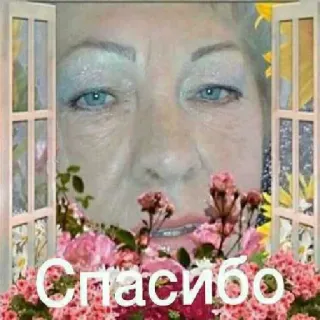 👌 1782062c Спасибо obrigado, flores, mulher, janela, cumprimento telegram sticker