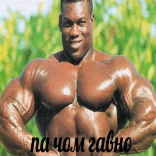 😊 44a5c97c па чом гавно bodybuilder, fitness, músculos, homem forte, meme telegram sticker