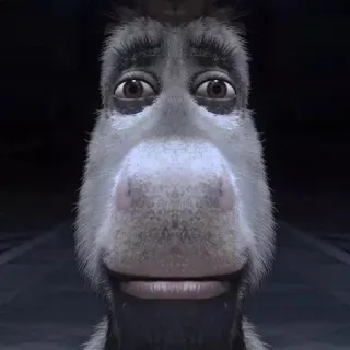 😐 613196f2 Donkey Shrek burro, desenho animado, engraçado, shrek, animado telegram sticker