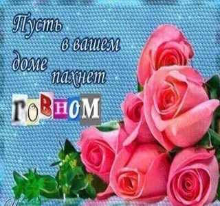 💩 6dd3ef6a Пусть в вашем доме пахнет говном rosas, ofensivo, russo, saudação, humor, flores telegram sticker