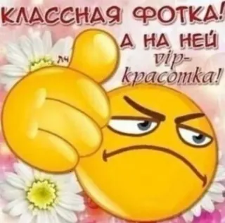 👍 711d11a1 КЛАССНАЯ ФОТКА!
А НА НЕЙ
vip-
красотка! Emoji, Engraçado, Legal, Foto, VIP, Beleza telegram sticker