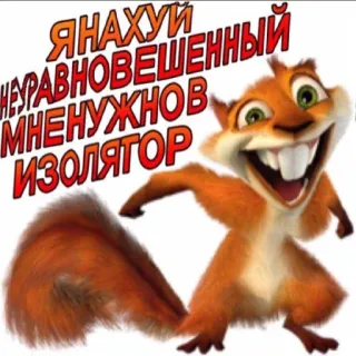🤓 ac8544ae Я НАХУЙ НЕУРАВНОВЕШЕННЫЙ МНЕ НУЖНОВ ИЗОЛЯТОР esquilo, engraçado, animal, meme telegram sticker