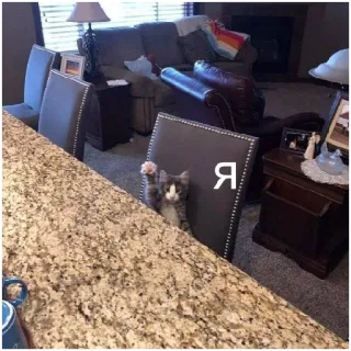 😃 093fb2c8 r kucing, anak kucing, imut, hewan, hewan peliharaan, binatang peliharaan telegram sticker