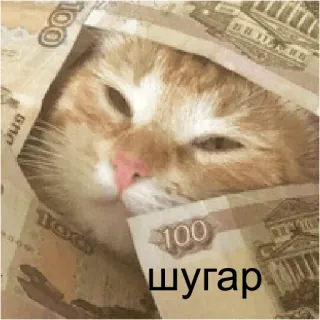🤑 86913808 шугар kucing, uang, rubel Rusia, hewan, imut, hewan peliharaan telegram sticker