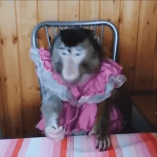 @sticksbb 🩷 <- канал со стиками telegram stickers